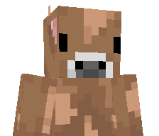 F1reIce's skin
