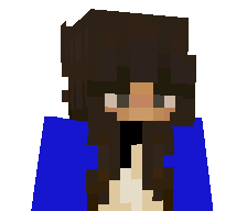 gaming355's skin