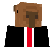 Capy_man24's skin