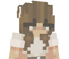 WhyBlitz's skin