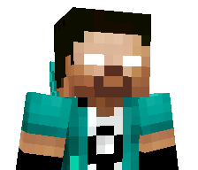 FRDSA's skin