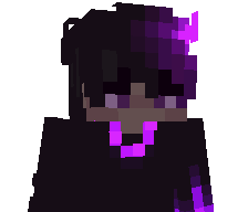 Pr3m1erFl4me's skin