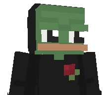 HiveFR's skin