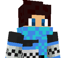 dtRobin's skin