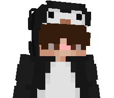 Pxllemi_'s skin