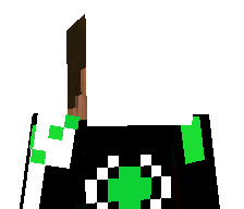 Arror_02's skin