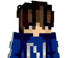 N1nsoka's skin