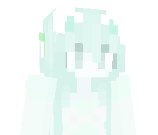 1SHXRKY1's skin