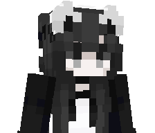 XiiaoBlack_'s skin