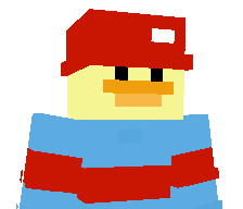 PlayerNett's skin