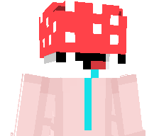 NoaBossDuGame's skin