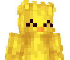 Birdgame's skin