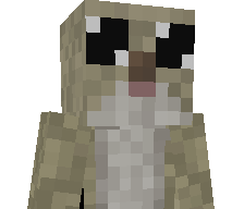 CapitalHampter's skin