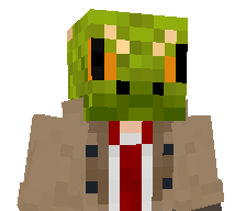 Llzart's skin