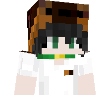 Brandon_Fight's skin