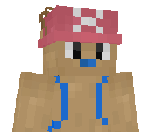 Bugtopixs's skin