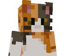 c4tpvp's skin