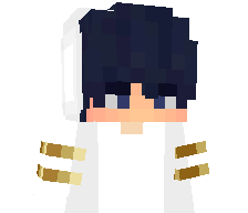 An1KeT_'s skin