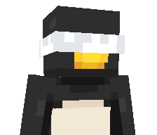 bbackslash's skin
