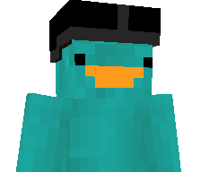 paintty's skin