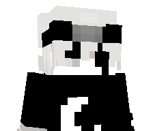 ninjacyberice's skin
