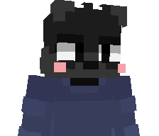duongsoi's skin