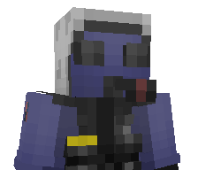 critplayer's skin