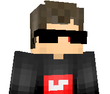 LeoBRL2010's skin