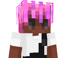 Dzejnixu's skin