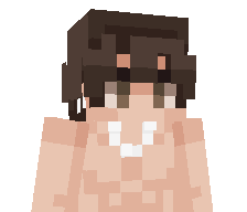 H4ns3l's skin