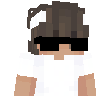 Fireteam902's skin