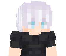 N1XARO's skin