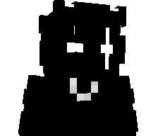 Matsiu's skin