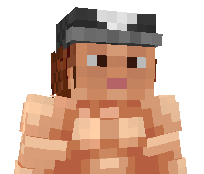 Wiktoast's skin