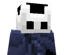 Hol1ow_Knight's skin