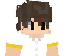 mcpro291's skin