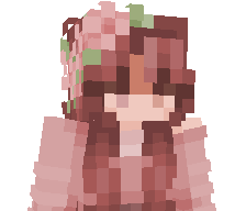Just3clipse_'s skin