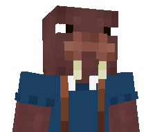 tompetit's skin