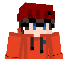 NormalPlayer510's skin