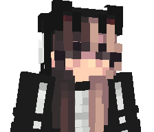 SolarStealDev's skin