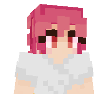 X_Voxel_X's skin