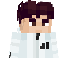 SONKAI8394322's skin