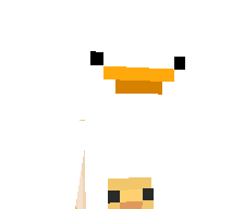 Bombay29's skin