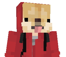 ShibaPlaysRoblox's skin