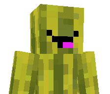 iNekF's skin