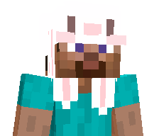lilroblox2015's skin