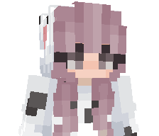 Protocolist's skin