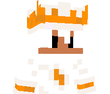 B1NrEE's skin