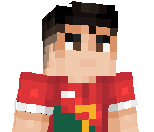 fan_ronaldo2015's skin