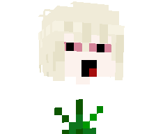 liorget9's skin